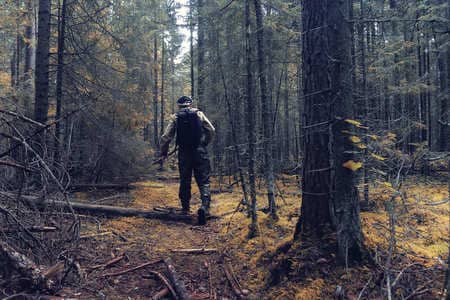 Купить диплом Егеря, лесника в Сергиеве Посаде