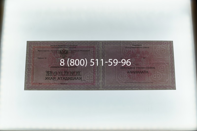 Заказать Диплом кандидата наук 2010 в Сергиеве Посаде